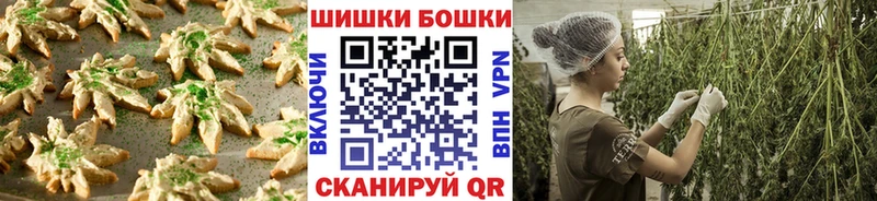 Canna-Cookies марихуана  где купить наркотик  Новое Девяткино 