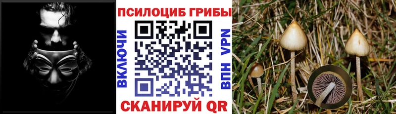 Псилоцибиновые грибы ЛСД  ссылка на мегу ссылка  Новое Девяткино  дарнет шоп 