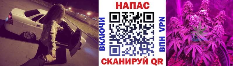 Бошки Шишки ГИДРОПОН  Новое Девяткино 